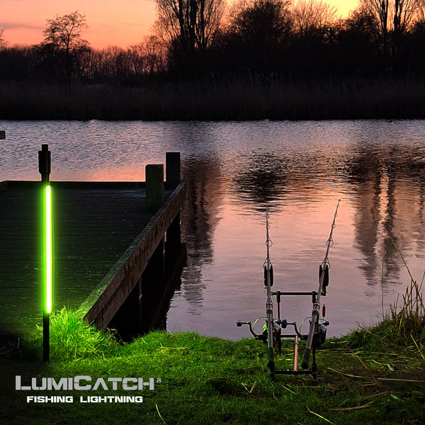 LumiCatch Support BuzzOff – Lampe anti-moustiques supplémentaire – Lampe extérieure anti-moustiques à lumière verte